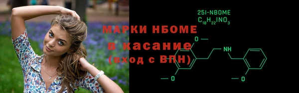 хмурый Новозыбков