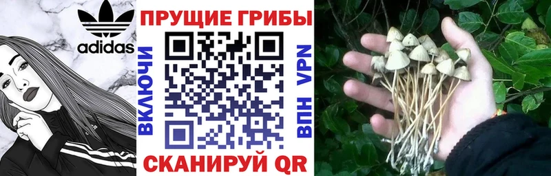ссылка на мегу tor  Нижневартовск  Псилоцибиновые грибы мухоморы 