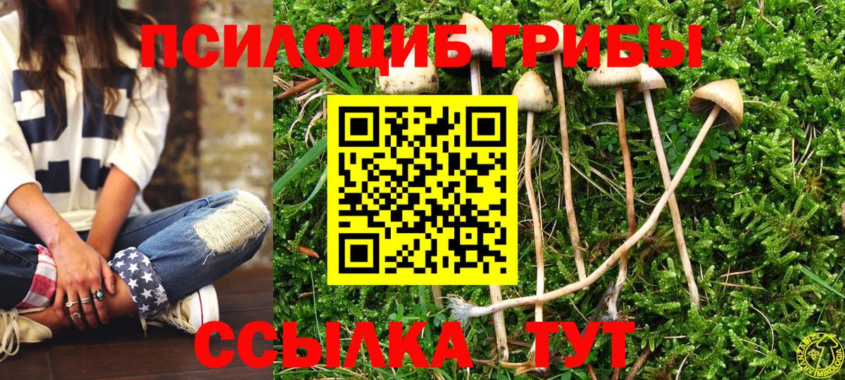 Галлюциногенные грибы прущие грибы Нижневартовск